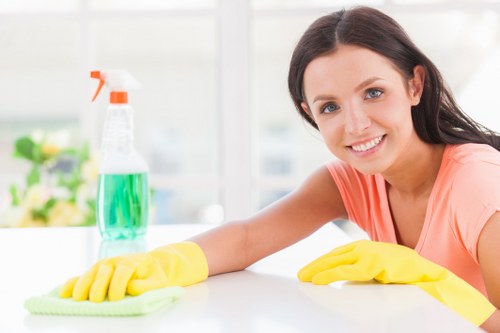 Professional carpet cleaning service for London homes and flats