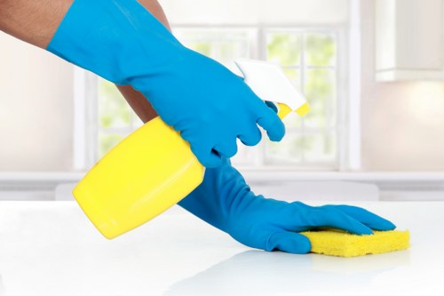 Residential and commercial oven cleaning across London boroughs