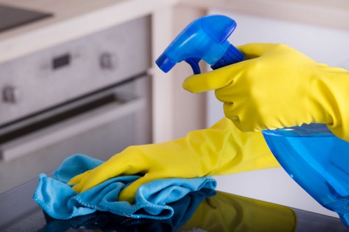 Regular house cleaning service for London residents