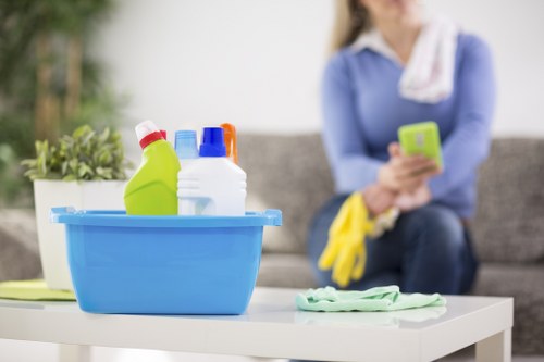 Regular home cleaning service for London residents and families