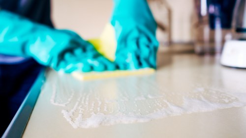 London cleaner ready to provide regular home or commercial cleaning