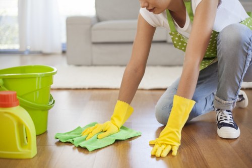 Deep cleaning equipment used by a carpet cleaner in London