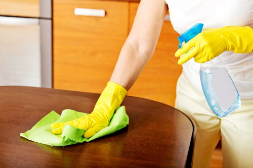 Cleaner tidying a bathroom in a London property