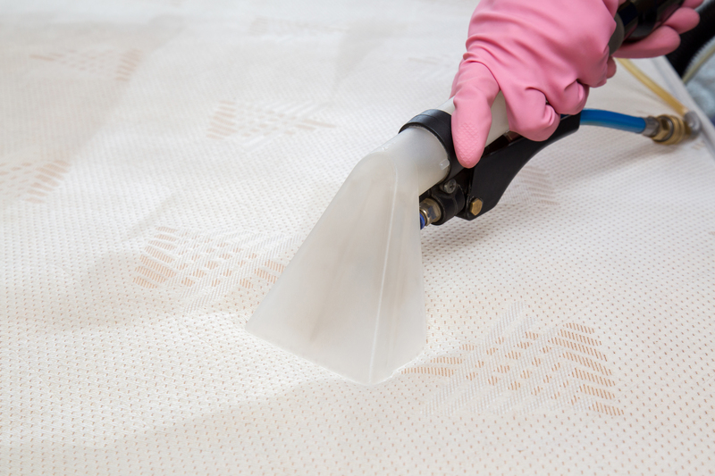 tenancy cleaning upholstery cleaning